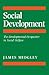 Social Development: The Developmental Perspective in Social Welfare