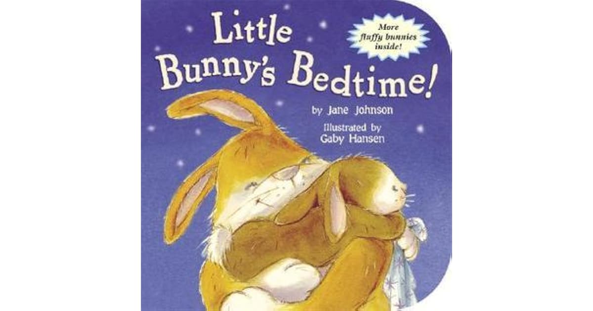 Little Bunny's Bedtime! by Jane Johnson
