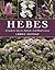 Hebes: A Guide to Species, Hybrids and Allied Genera