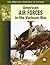 American Air Forces In The Vietnam War (The American Experience in Vietnam)