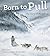 Born to Pull: The Glory of Sled Dogs
