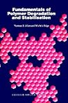 Fundamentals of Polymer Degradation and Stabilization