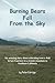Burning Bears Fall From the Sky: My amusing story about relocating from a desk in San Francisco to a remote mountain in Northern California