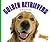Golden Retrievers (Domestic Dogs)