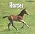 Horses (Baby Animals)