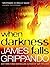 When Darkness Falls (Jack Swyteck, #6)
