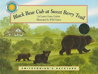 Black Bear Cub at Sweet Berry Trail (Smithsonian's Backyard)