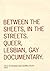 Between the Sheets, in the Streets: Queer, Lesbian, Gay Documentary (Volume 1) (Visible Evidence)