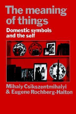 The Meaning of Things: Domestic Symbols and the Self (Paperback)