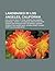 Landmarks in Los Angeles, California: Hollywood Walk of Fame, Mission San Gabriel Arcangel, Venice, Los Angeles, MacArthur Park