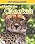 Charlie the Cheetah