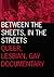 Between the Sheets, in the Streets: Queer, Lesbian, Gay Documentary (Volume 1) (Visible Evidence)