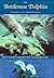 The Bottlenose Dolphin by John E. Reynolds III The Bottlenose Dolphin by John E. Reynolds III
