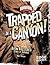 Trapped in a Canyon: Aron Ralston's Story of Survival (Edge Books: True Tales of Survival)
