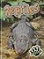 Reptiles (Eye to Eye With Animals)