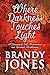 Where Darkness Touches Light by Brandy Jones