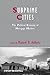 Subprime Cities: The Political Economy of Mortgage Markets (IJURR Studies in Urban and Social Change Book Series)