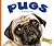 Pugs