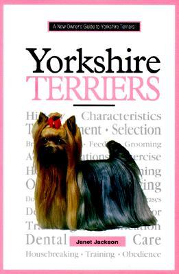 A New Owner's Guide to Yorkshire Terriers