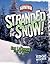 Stranded in the Snow!: Eric Lemarque's Story of Survival (Edge Books: True Tales of Survival)