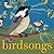 Birdsongs