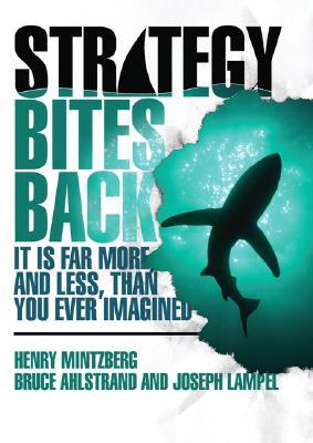 Strategy Bites Back: It is a Lot more, and less, than you ever imagined.... (Hardcover)