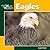 Eagles by Laura Evert