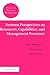 Systems Perspectives on Resources, Capabilities, and Management Processes (Advanced Series in Management, 2)