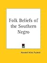 Folk Beliefs of the Southern Negro Folk Beliefs of the Southern Negro