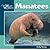 Manatees by Kathy Feeney Manatees by Kathy Feeney