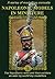 NAPOLEONIC MODELS IN MINIATURE: The Napoleonic Wars and Their Soldiers as Seen by World Top Modellers (Modelling Manuals)