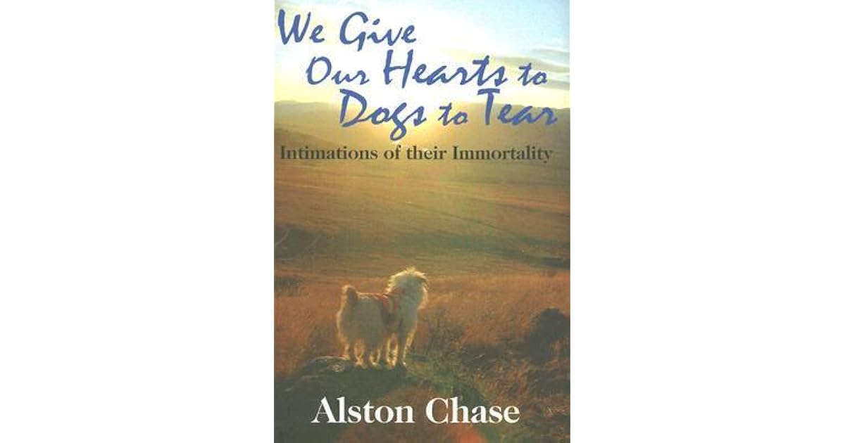 We Give Our Hearts to Dogs to Tear Intimations of Their Immortality by