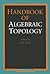 Handbook of Algebraic Topology by I.M. James