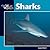 Sharks by Laura Evert