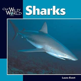 Sharks (Our Wild World)