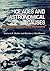 Ice Ages and Astronomical Causes: Data, spectral analysis and mechanisms (Springer Praxis Books)