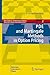 PDE and Martingale Methods in Option Pricing (Bocconi & Springer Series)