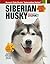 Siberian Husky