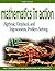 Mathematics in Action: Algebraic, Graphical, and Trigonometric Problem Solving (3rd Edition) (Consortium for Foundation Mathematics Developmental Mathematics Series)