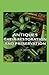 Antiques - Their Restoratio...