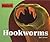 Hookworms (Parasites!)