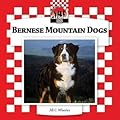 Bernese Mountain Dogs