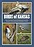 Birds of Kansas