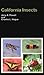 California Insects