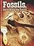 Fossils, Uncovering the Past (Let's Explore Science)
