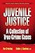 Juvenile Justice: A Collection of True-Crime Cases