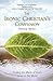 The Ironic Christian's Companion by Patrick Henry The Ironic Christian's Companion by Patrick Henry