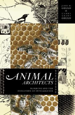 Animal Architects: Building and the Evolution of Intelligence (Hardcover)