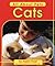 Cats (All About Pets)
