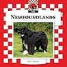 Newfoundlands (Dogs Set 8)